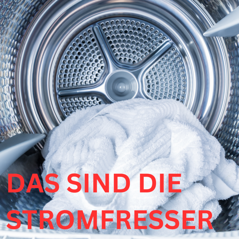 Das sind die Stromfresser